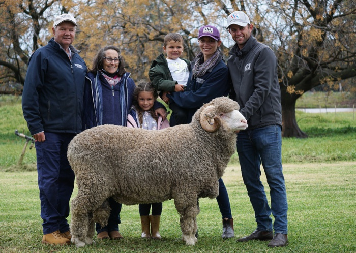 Profitable Merino Genetics
